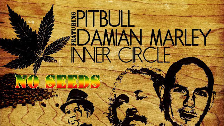 Inner Circle feat. Damian Marley, Stephen Marley, Pitbull & Red Rat - No Seeds [11/8/2011]