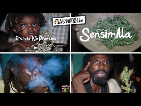 Promise No Promises - Sensimilla [4/19/2016]